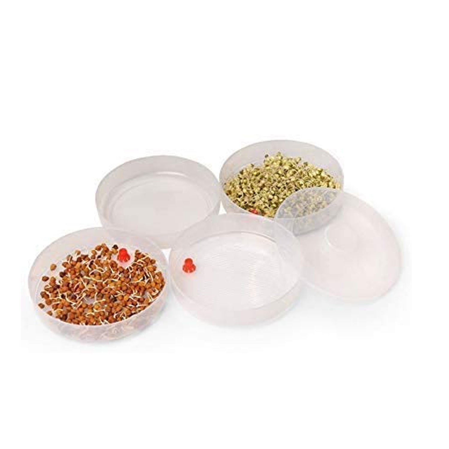 070 Plastic 4 Compartment Sprout Maker, White Gharbaar Store