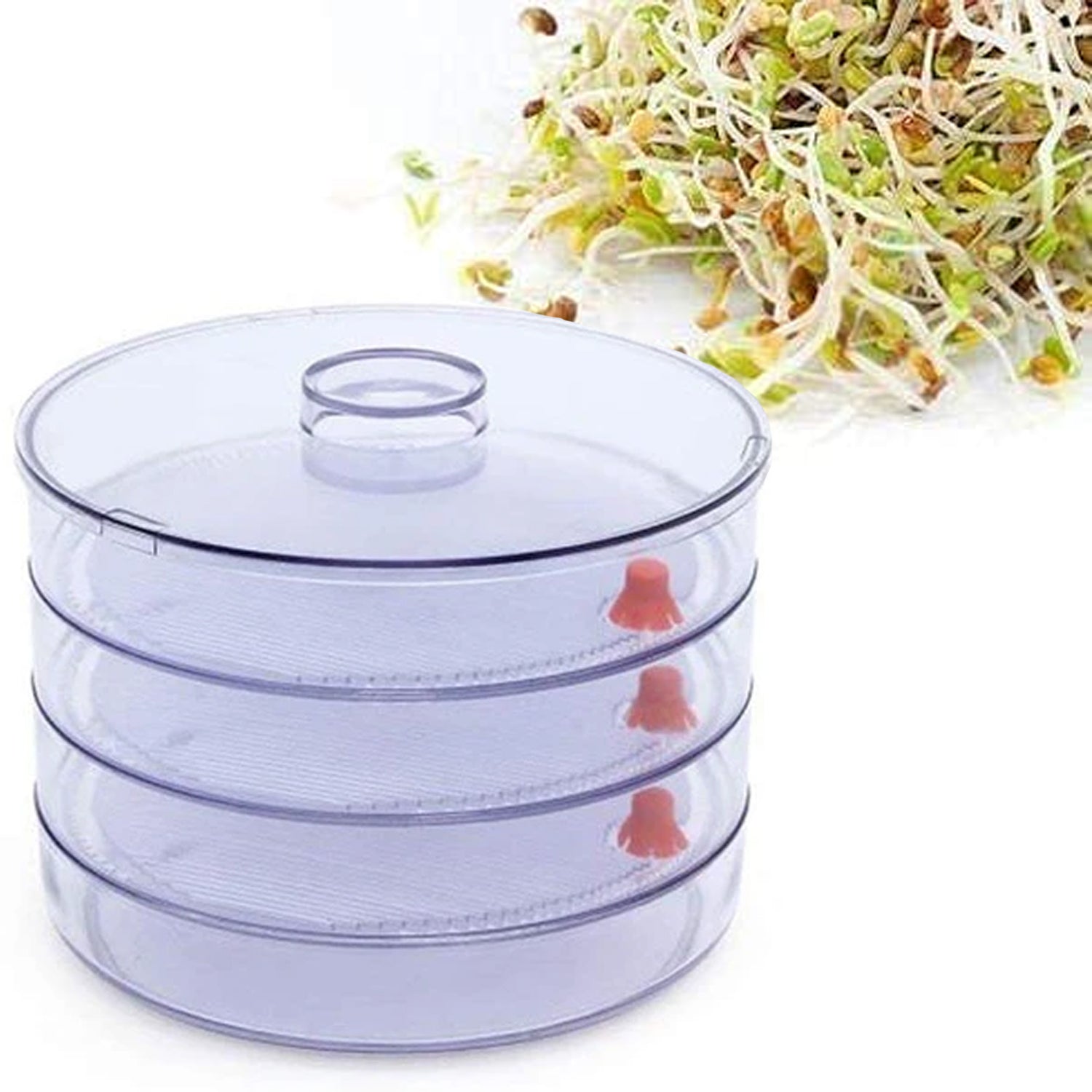 070 Plastic 4 Compartment Sprout Maker, White Gharbaar Store