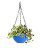 3851 Flower Pot Plant with Hanging Chain for Houseplants Garden Balcony Decoration 